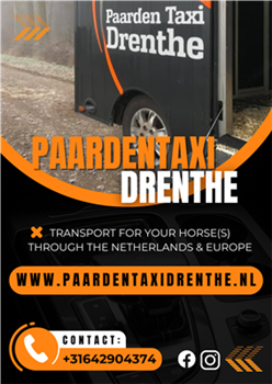 Paardentaxi Drenthe - vervoer door heel NL